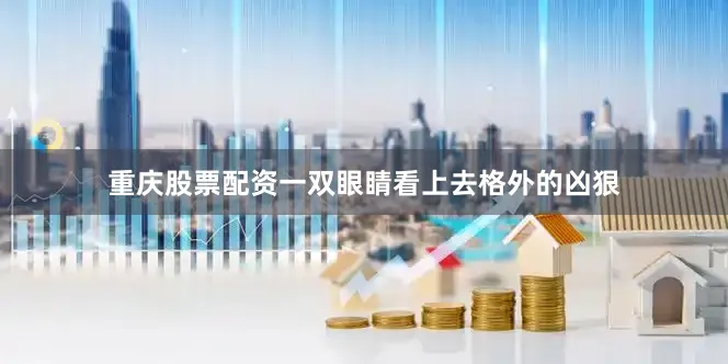 重庆股票配资一双眼睛看上去格外的凶狠