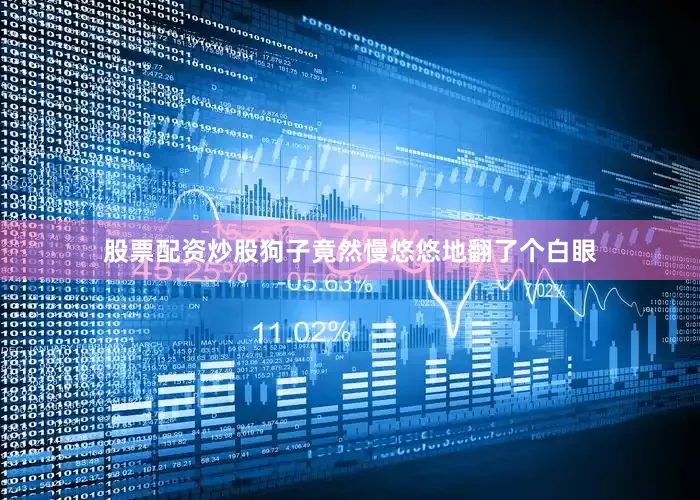 股票配资炒股狗子竟然慢悠悠地翻了个白眼