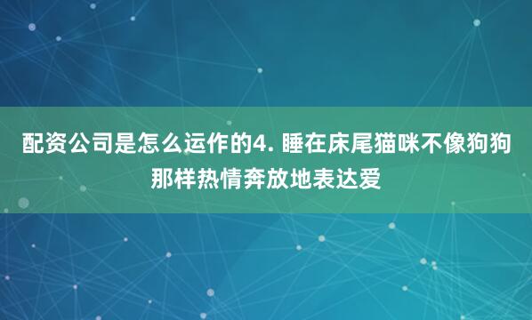配资公司是怎么运作的4. 睡在床尾猫咪不像狗狗那样热情奔放地表达爱