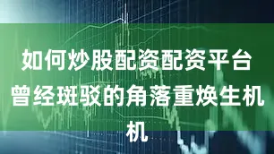 如何炒股配资配资平台曾经斑驳的角落重焕生机